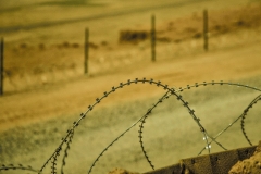Barber wire